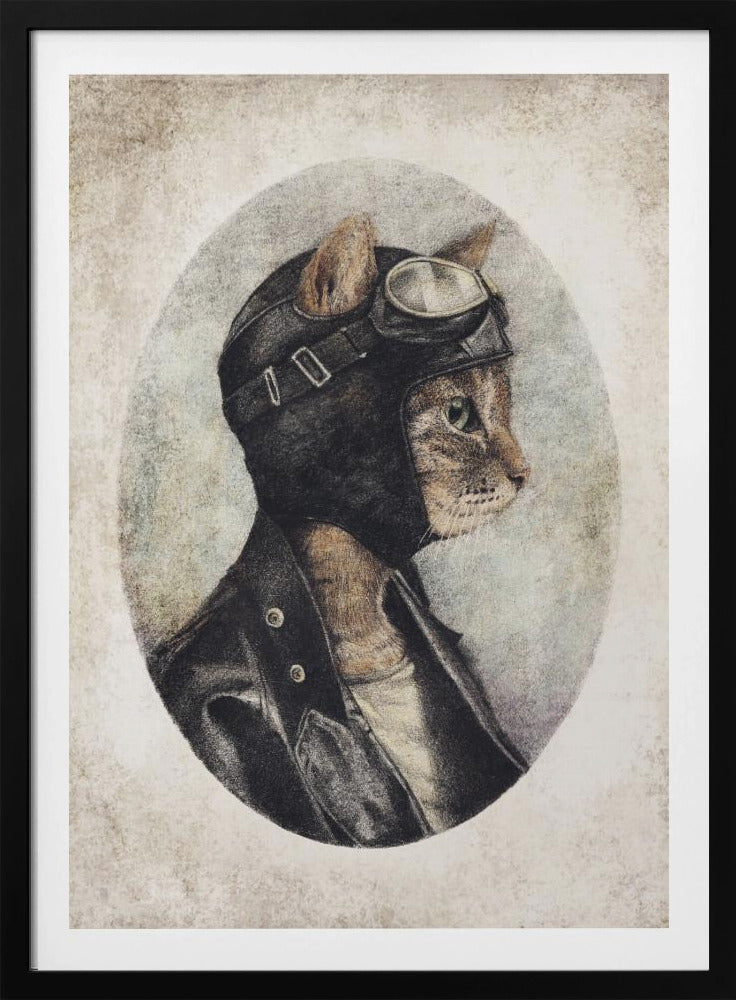 Stilvolle Katze in Lederjacke | Poster