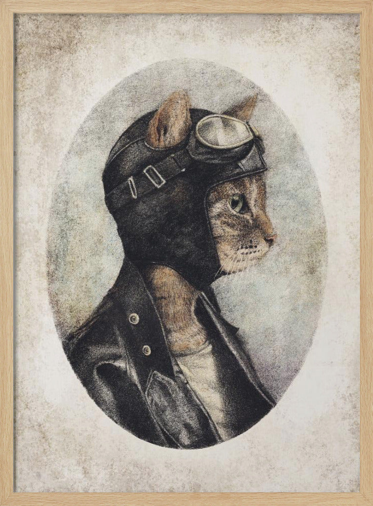 Stilvolle Katze in Lederjacke | Poster