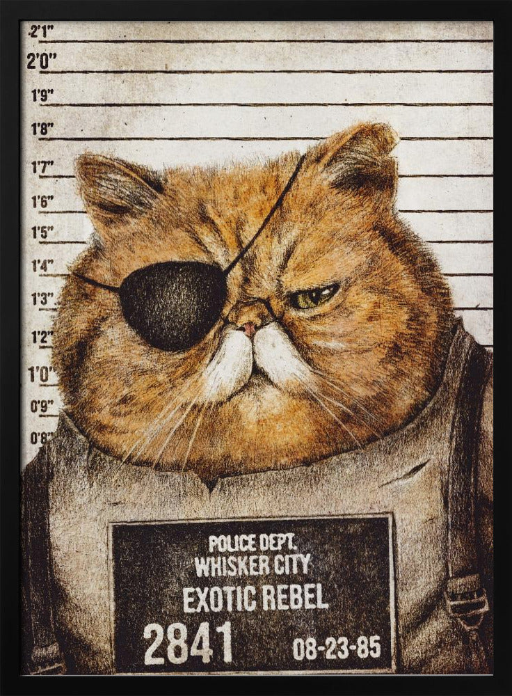 Lustige Katze | Poster