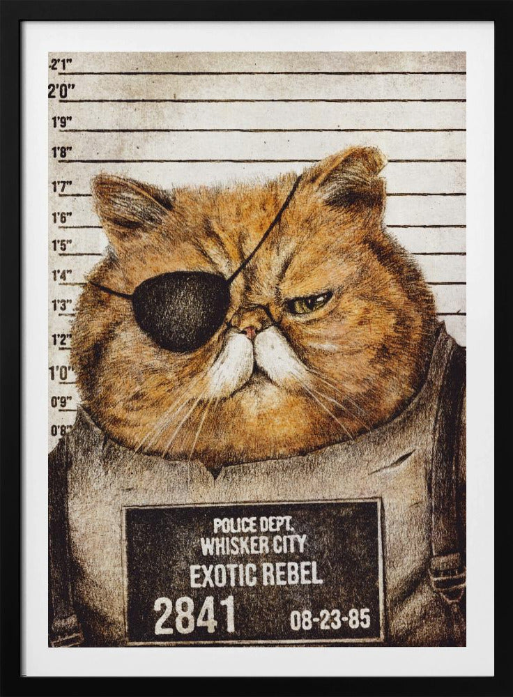 Lustige Katze | Poster