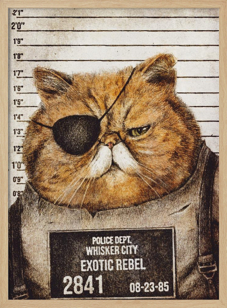 Lustige Katze | Poster