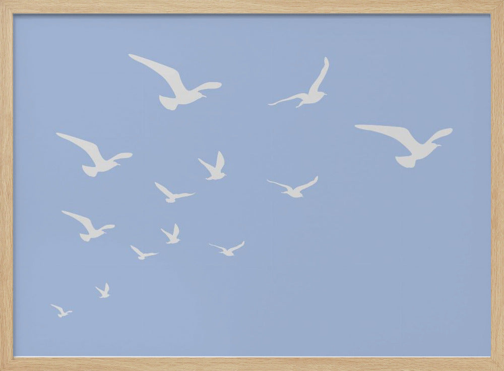 Möwen Blauer Hintergrund | Poster