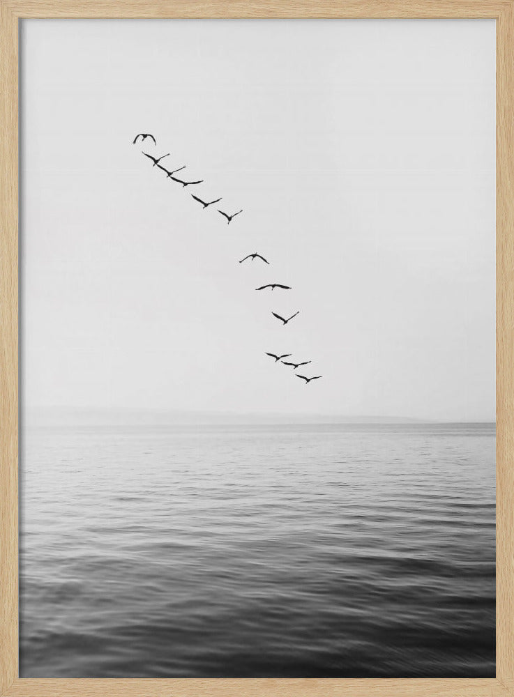 Fliegende Vögel | Poster
