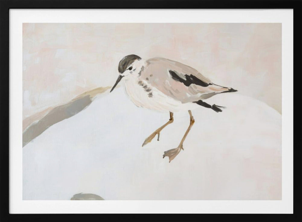 Niedlicher Watvogel | Poster
