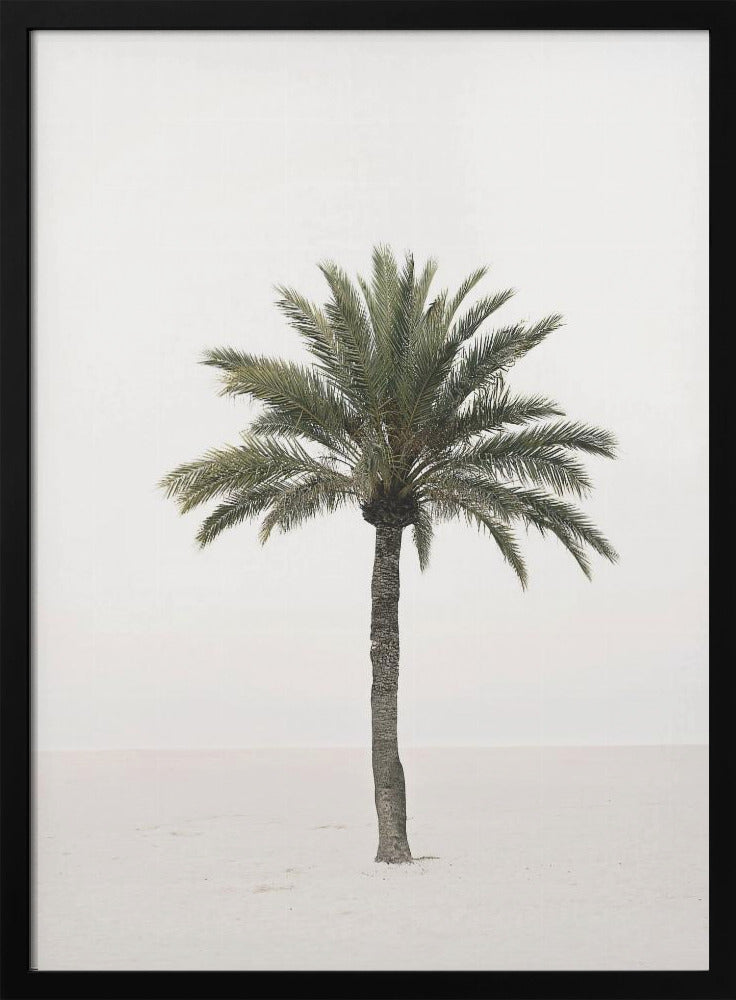 Palme | Poster
