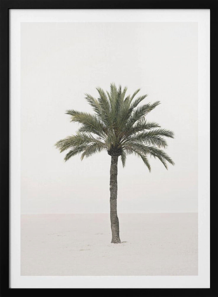 Palme | Poster