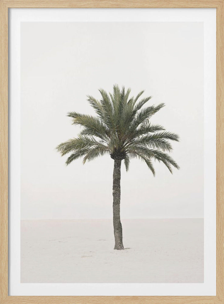 Palme | Poster