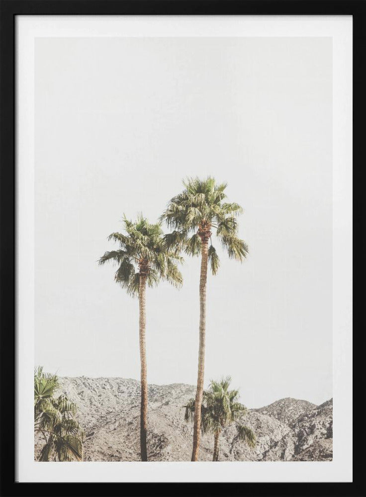 Palm Springs Palmen | Poster