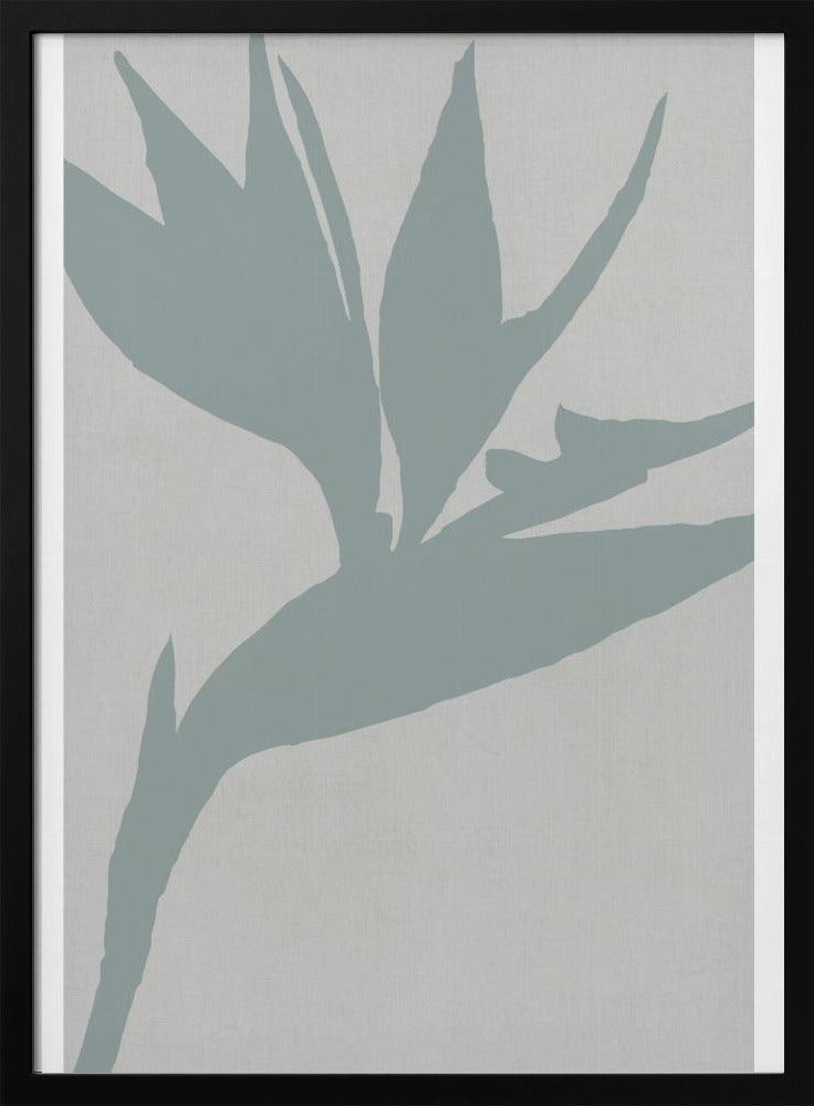 Paradiesvogel | Poster