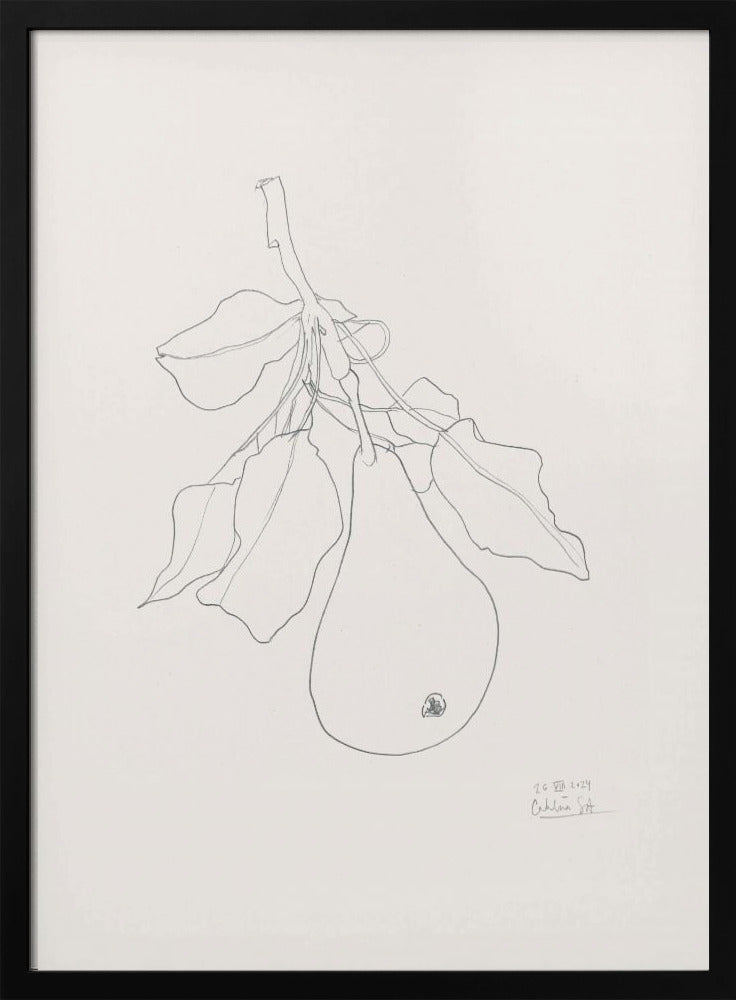 Elegante Birnenskizze | Poster