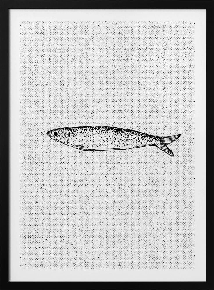 Vintage Fisch Illustration | Poster