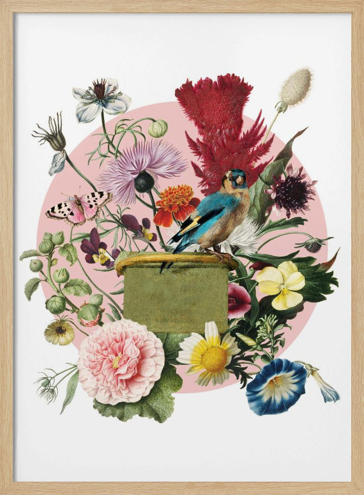 Bunter Vogel auf einer Kiste | Poster