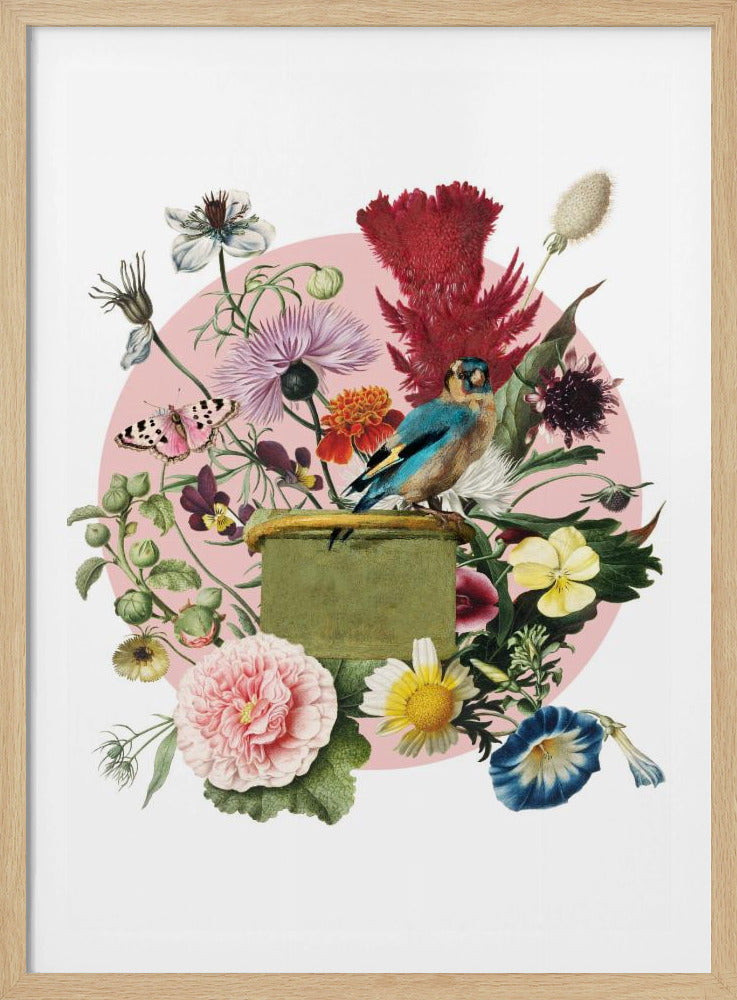 Bunter Vogel auf einer Kiste | Poster