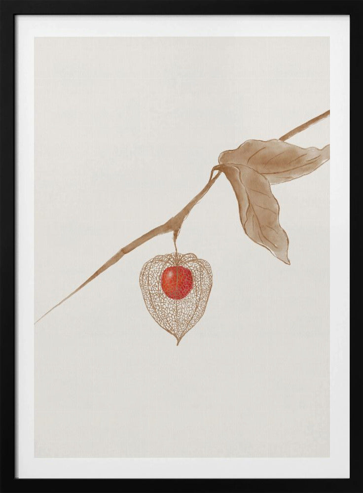 Erdkirsche | Poster