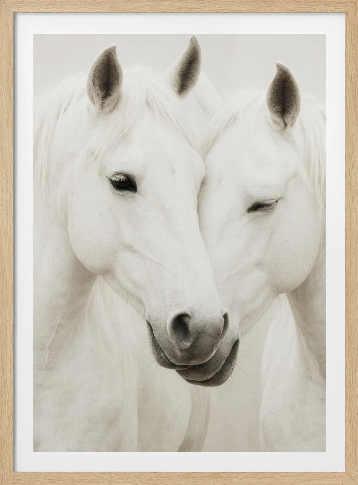 Pferdeumarmung | Poster