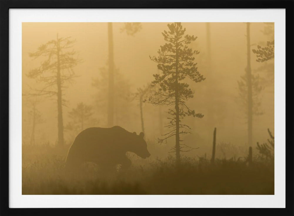 Morgennebel | Poster