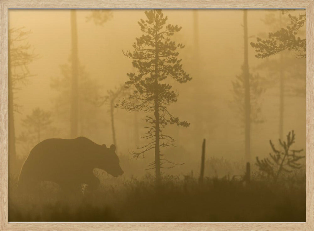 Morgennebel | Poster