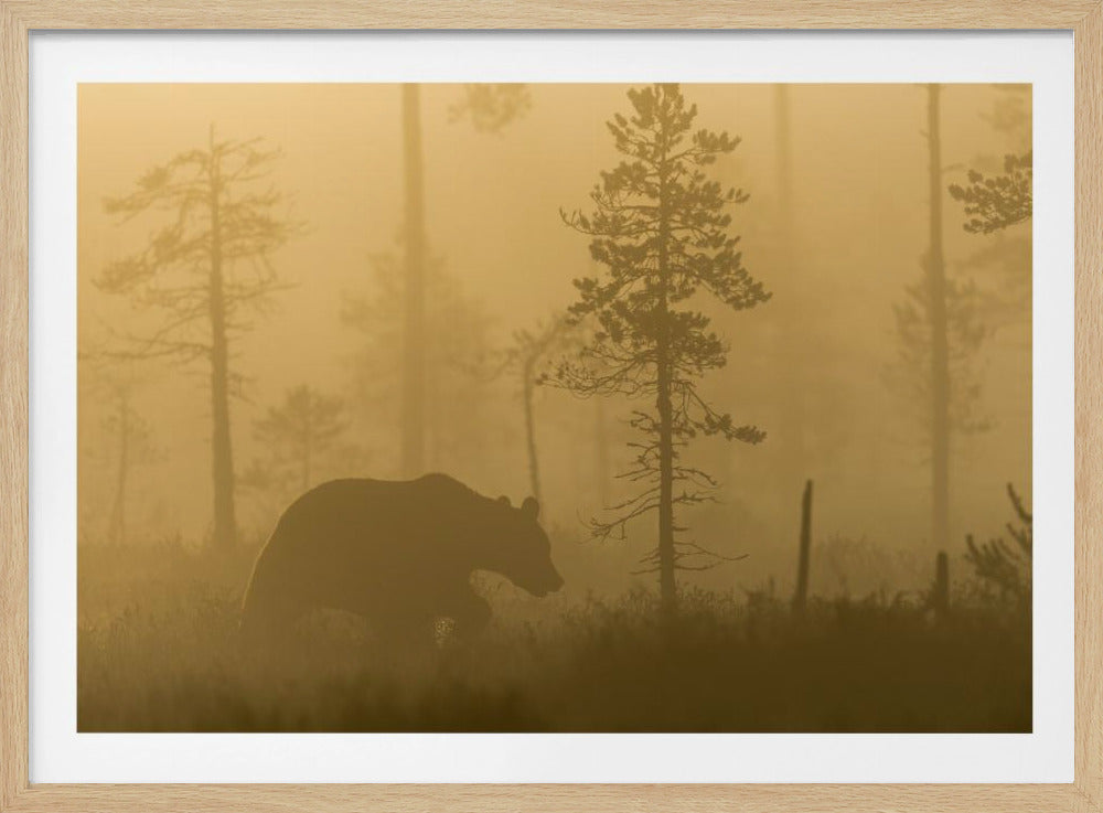Morgennebel | Poster
