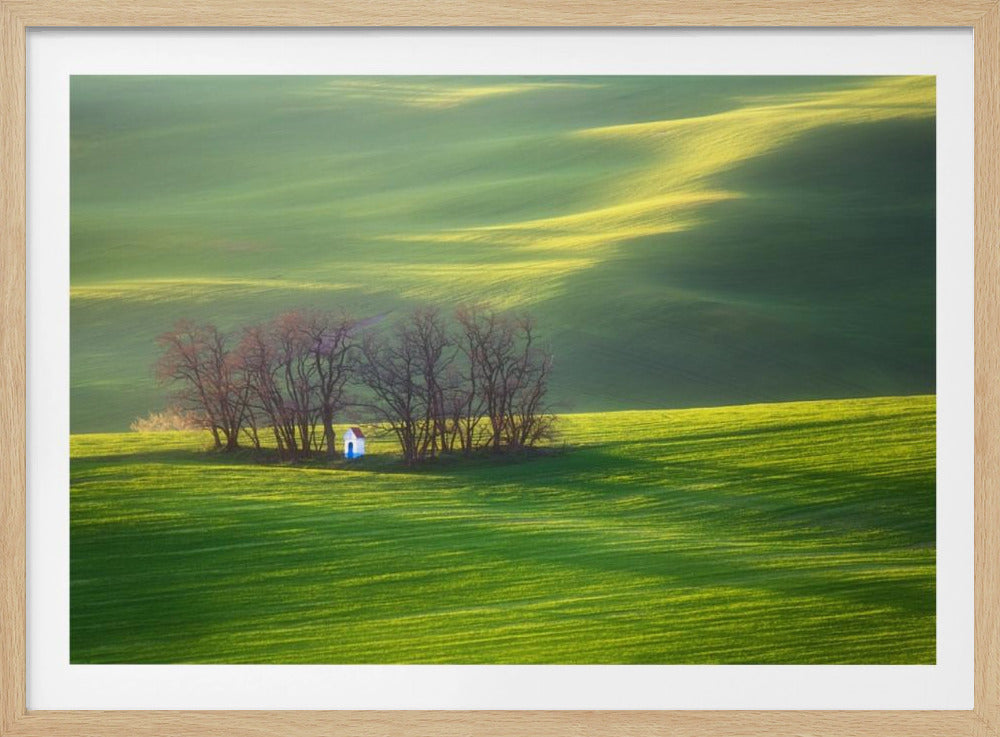 Felder... | Poster