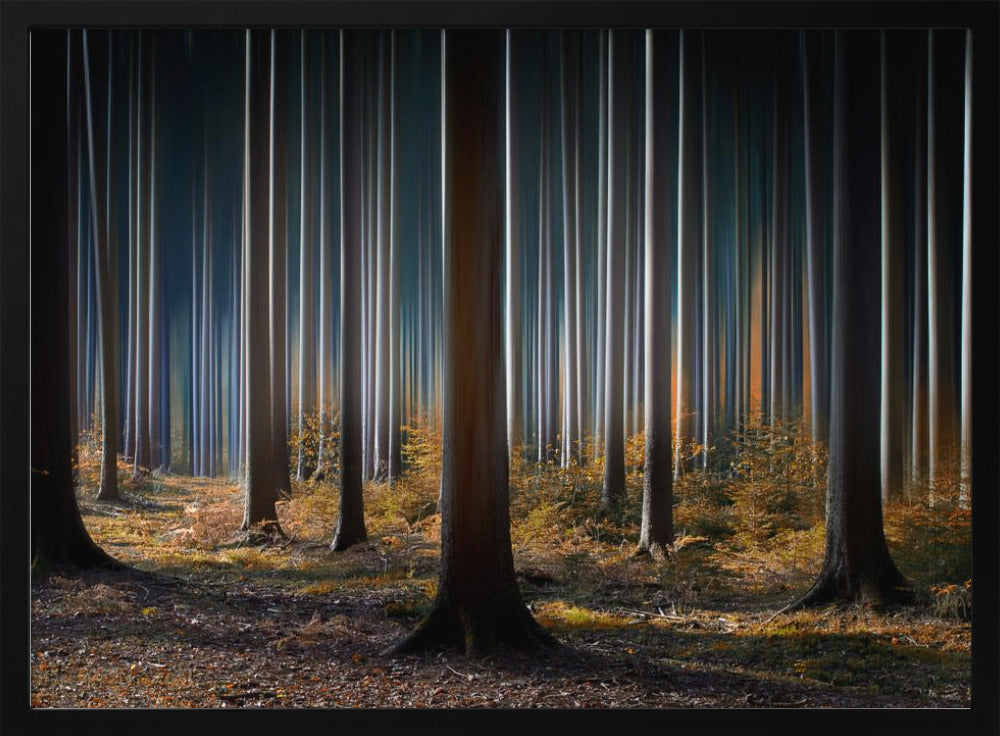 Mystischer Wald | Poster