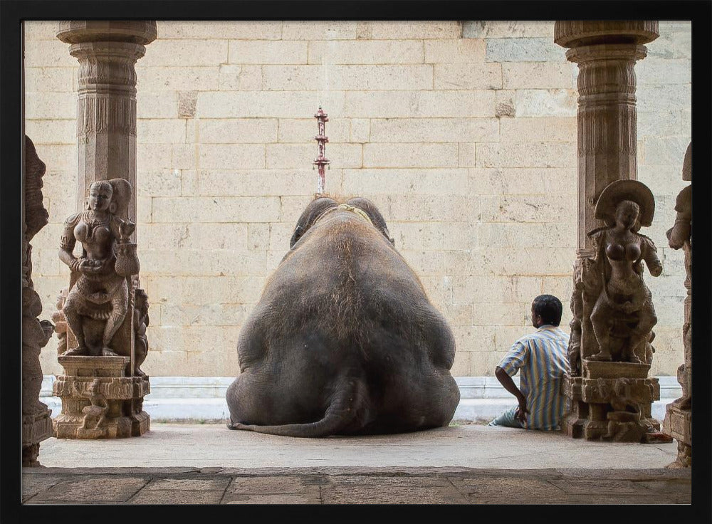 Der Elefant und sein Mahot | Poster