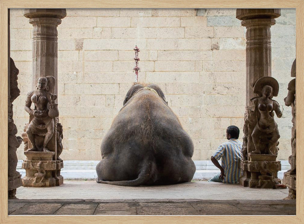 Der Elefant und sein Mahot | Poster