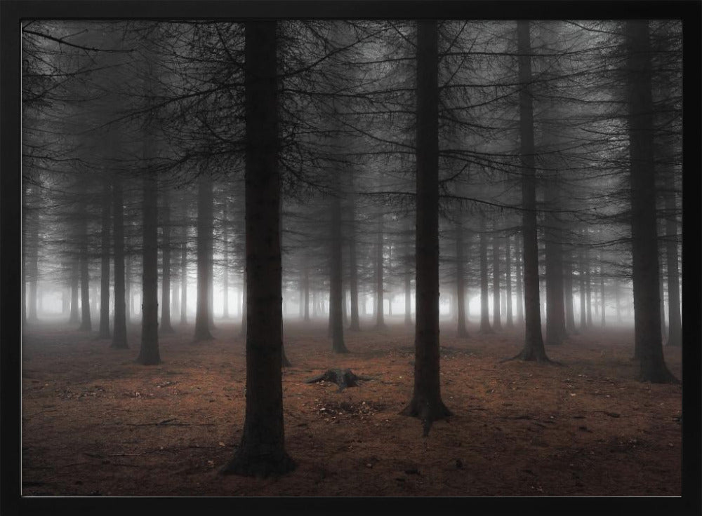 Stille | Poster