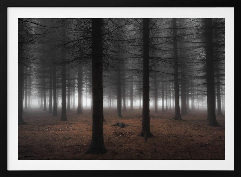 Stille | Poster