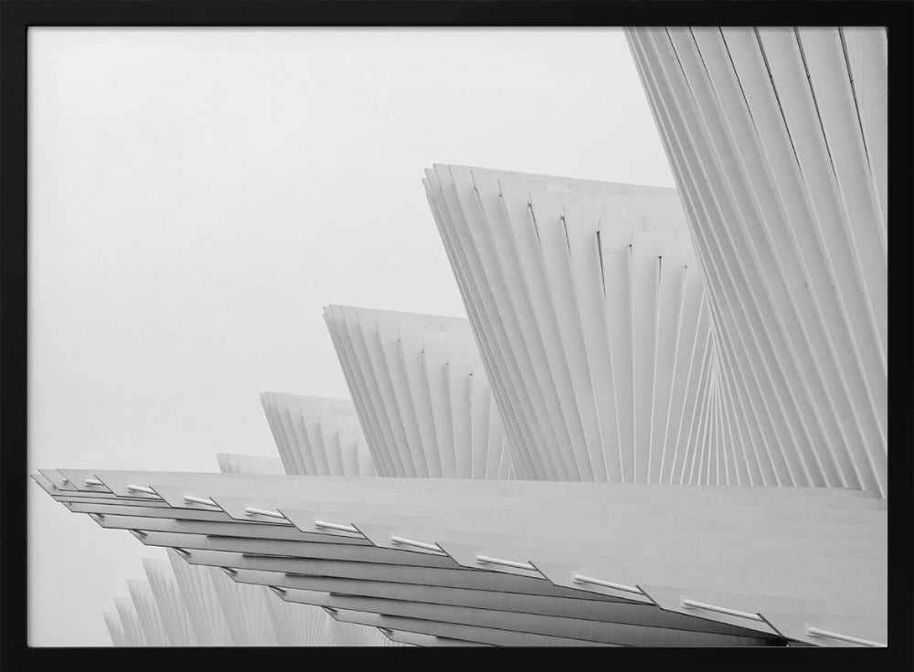 Fliege | Poster