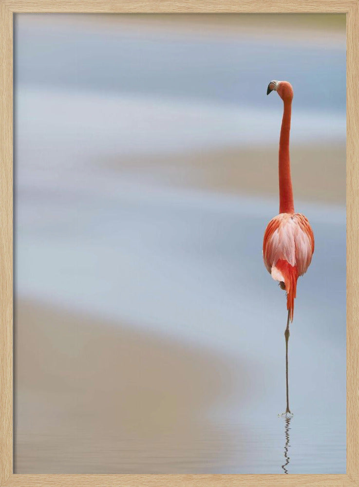 Ich | Poster