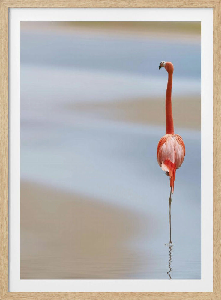 Ich | Poster