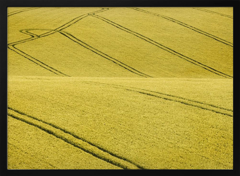 Feld Nr. 2 | Poster
