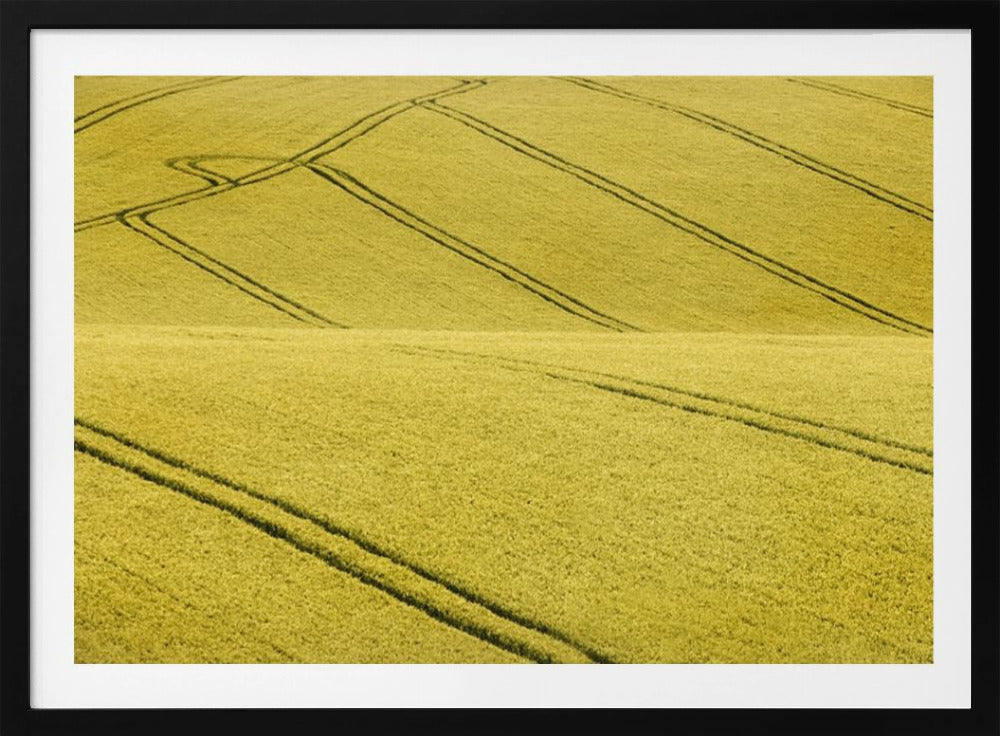 Feld Nr. 2 | Poster