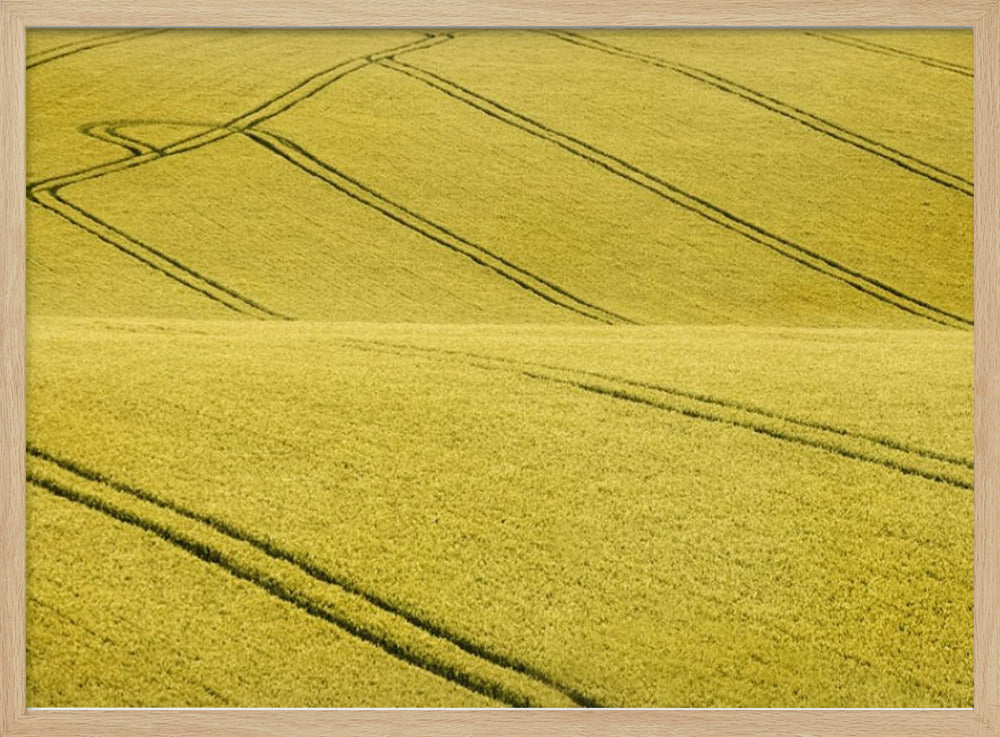 Feld Nr. 2 | Poster
