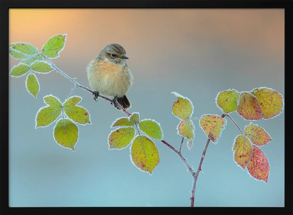 Winterfarben | Poster