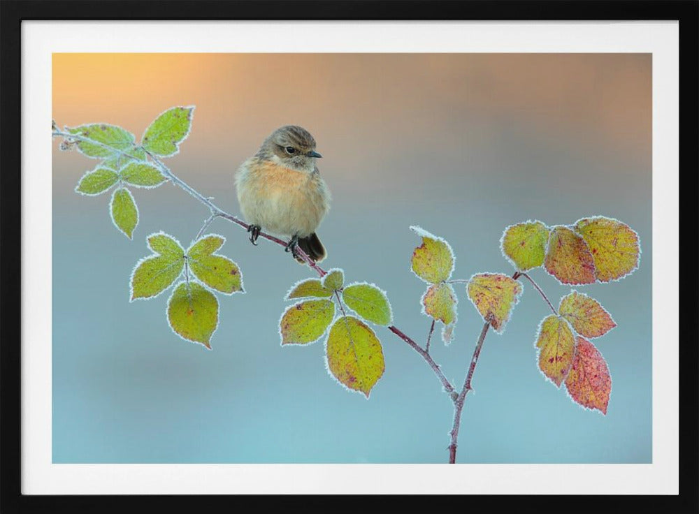 Winterfarben | Poster