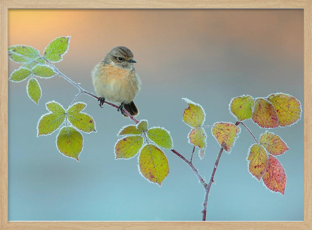 Winterfarben | Poster