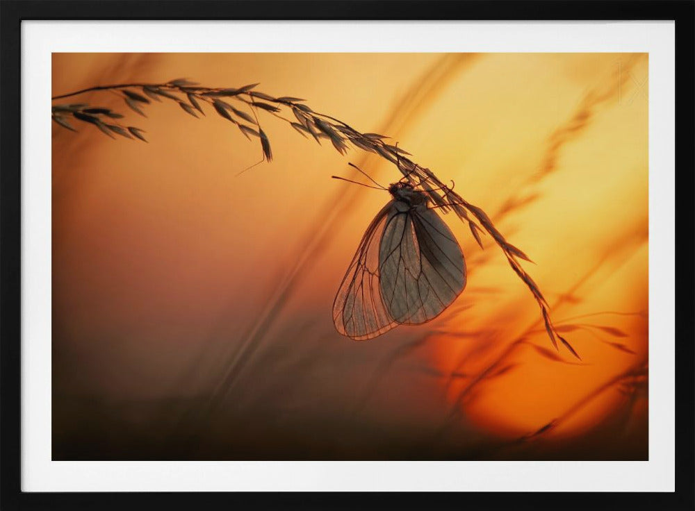 Gute Nacht | Poster