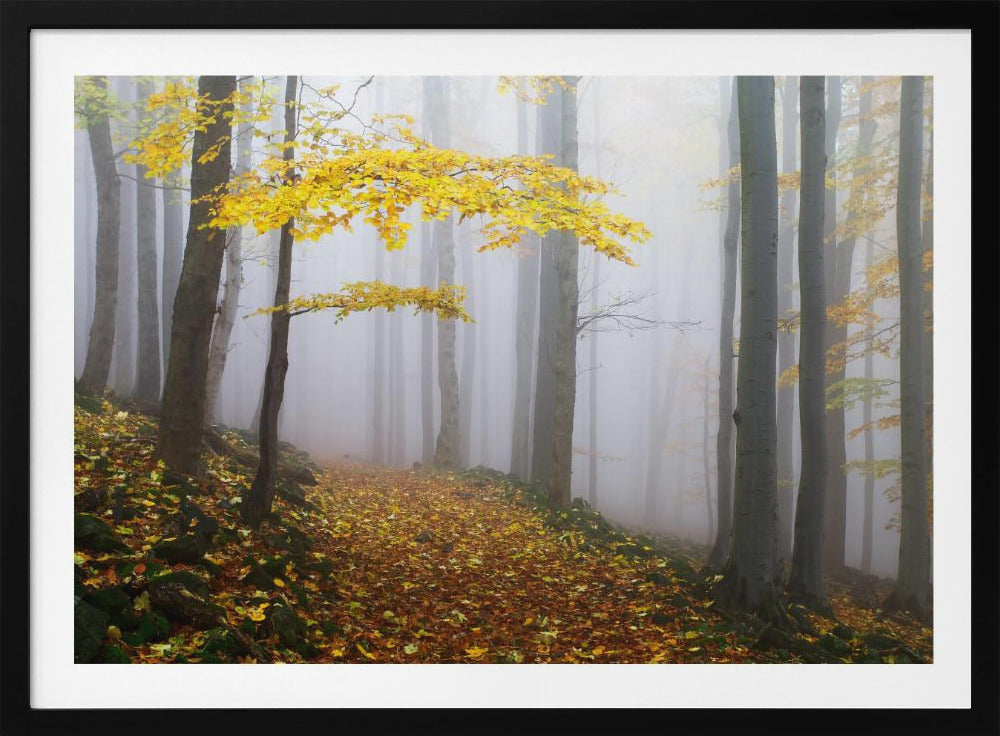 Ohne Titel | Poster