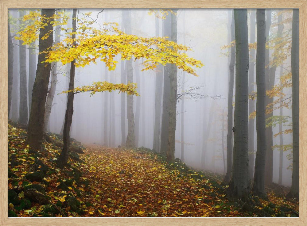 Ohne Titel | Poster