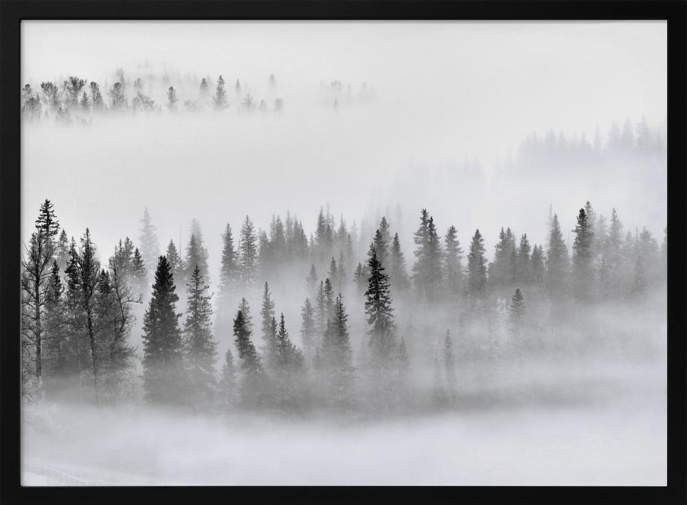 Nebliger Wald | Poster