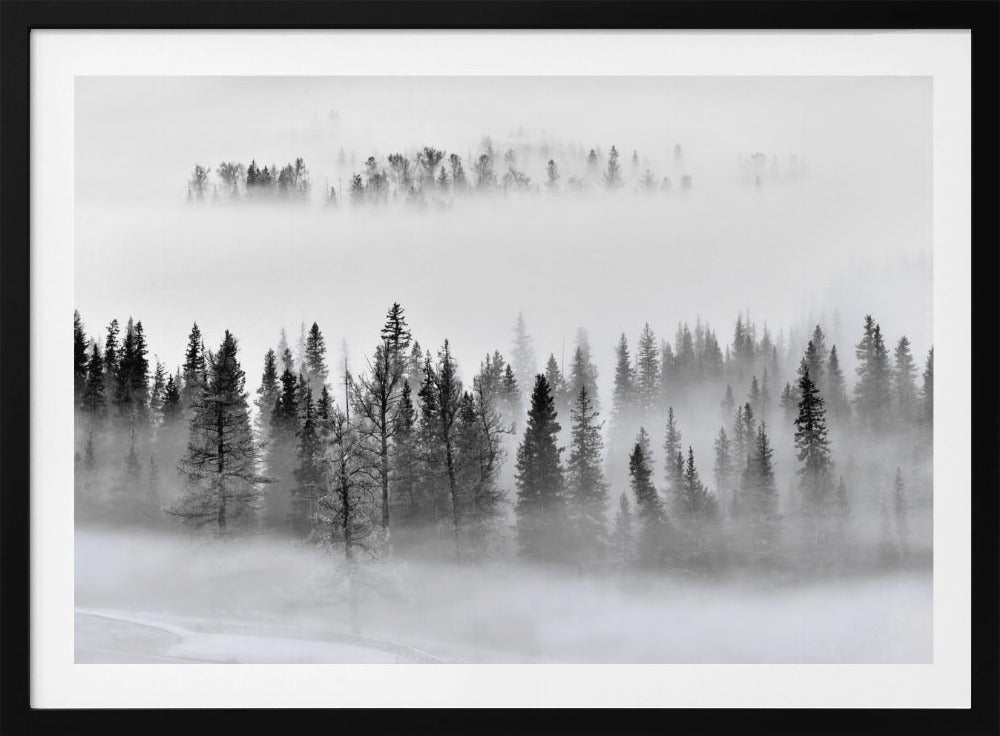 Nebliger Wald | Poster