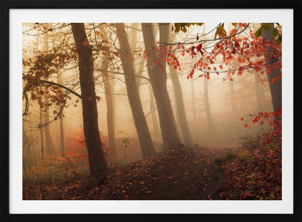 Dem Licht entgegen. | Poster