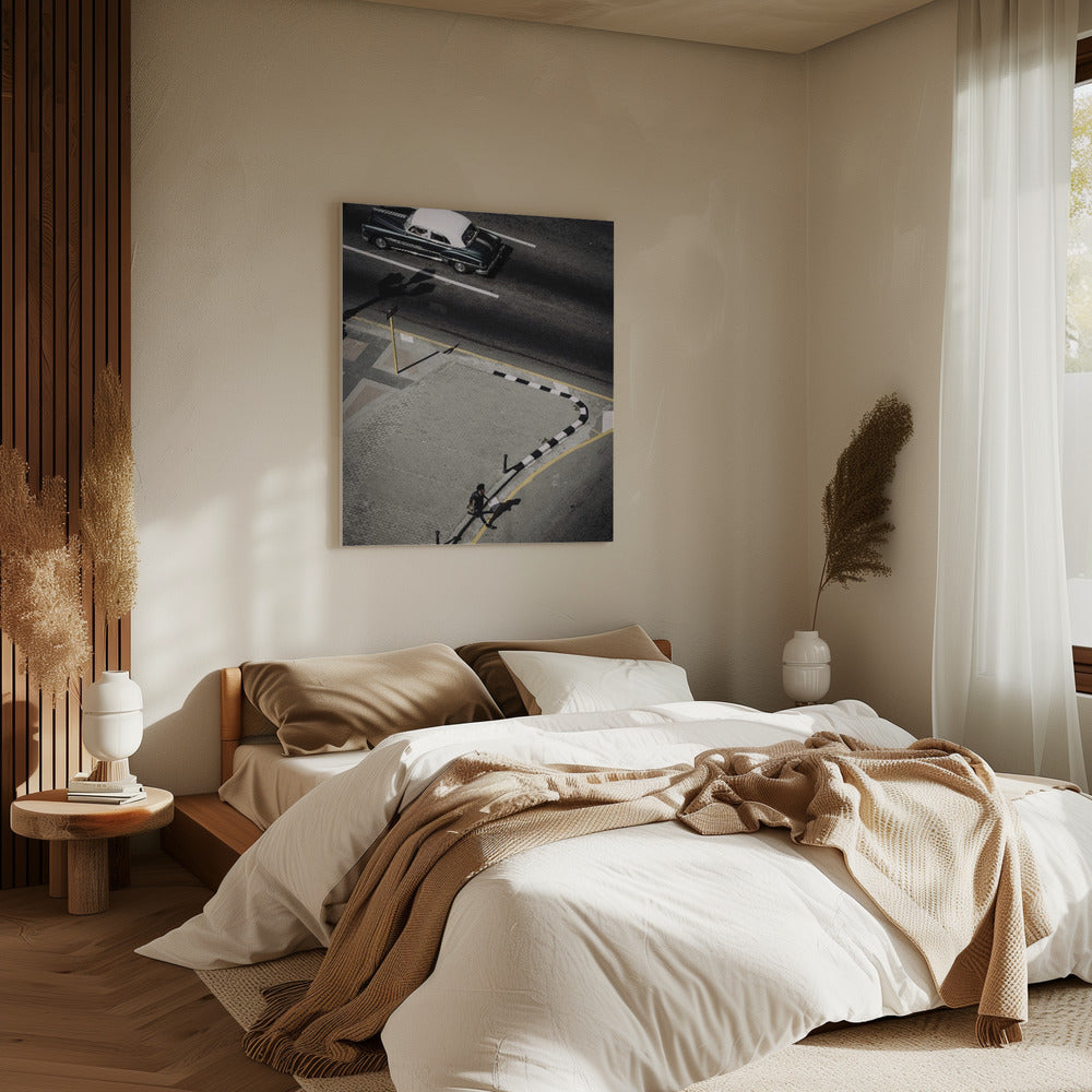 Prado | Canvas