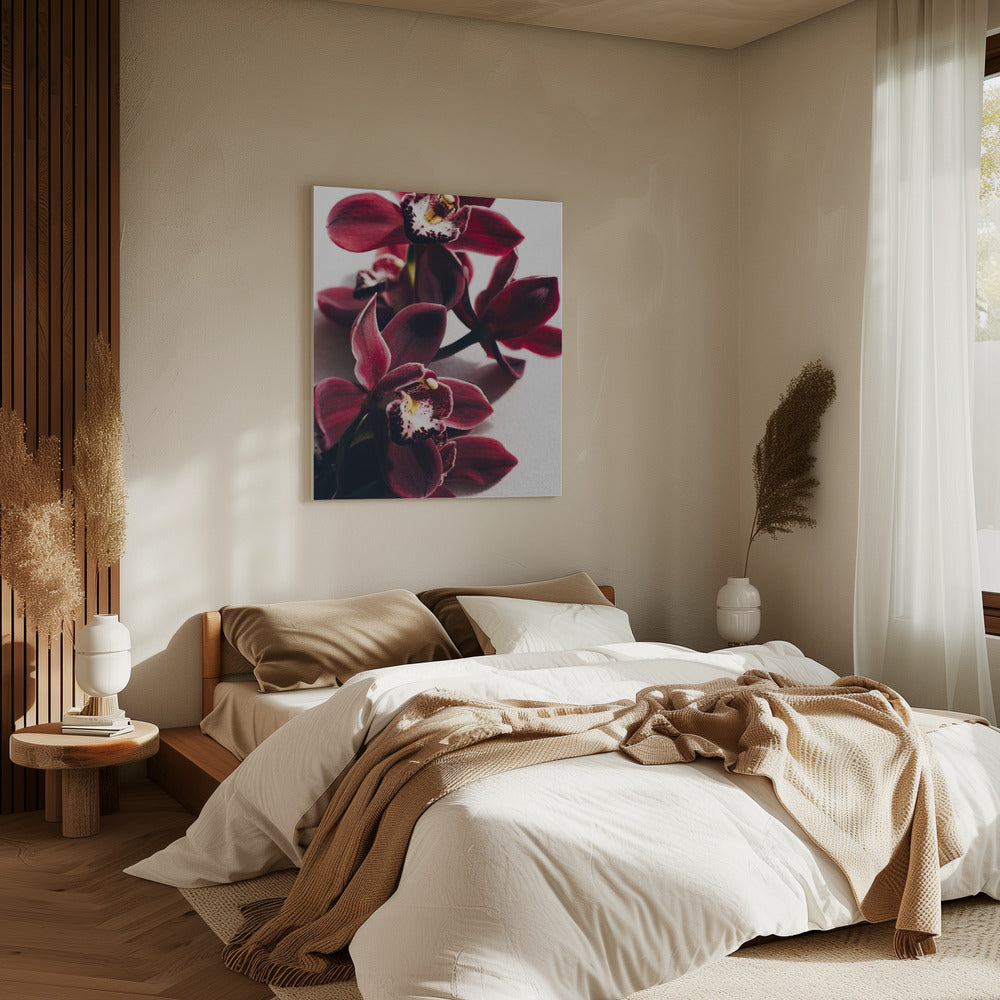 Red Orchids with Delicate Petals | Canvas