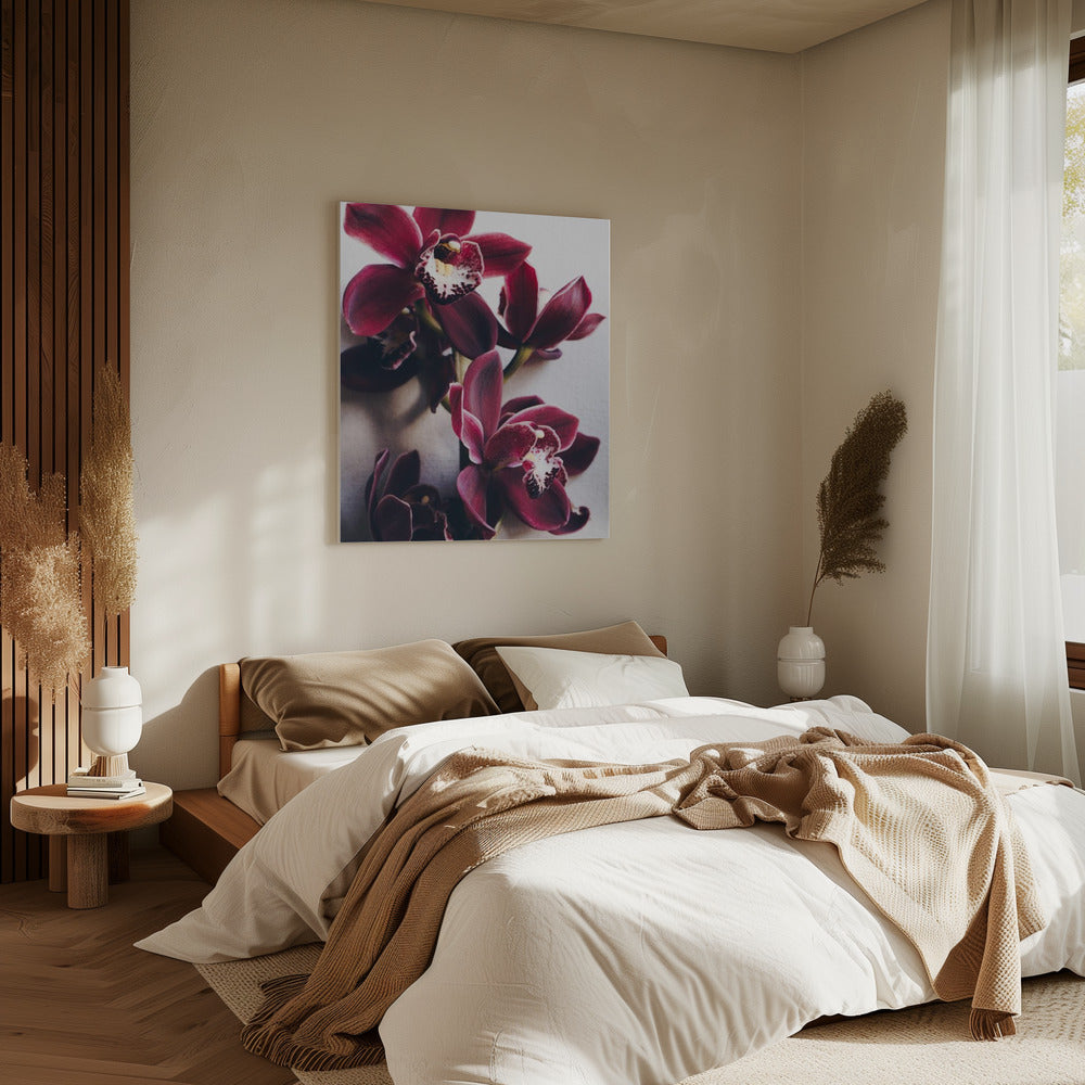 Orchideen-Eleganz | Leinwand