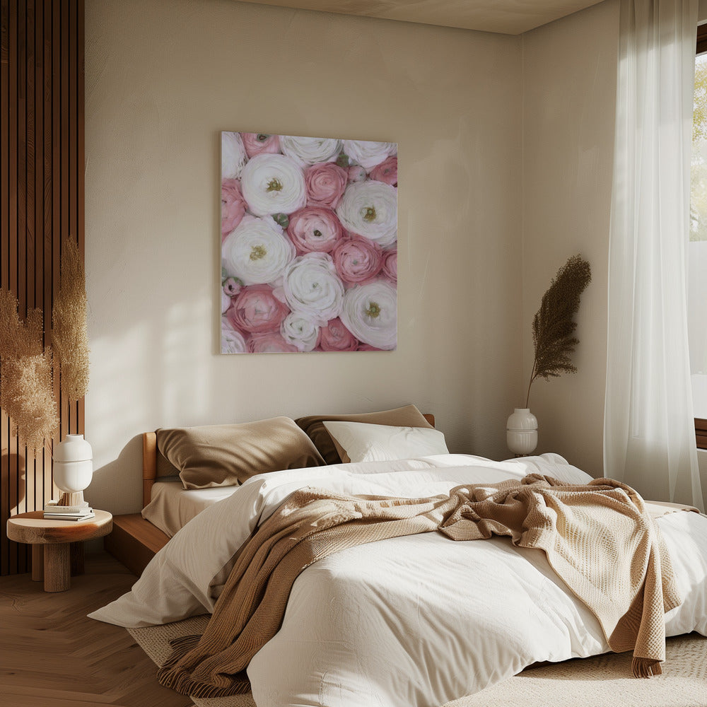 Verstreute Ranunkeln in gedecktem Rosa I | Leinwand