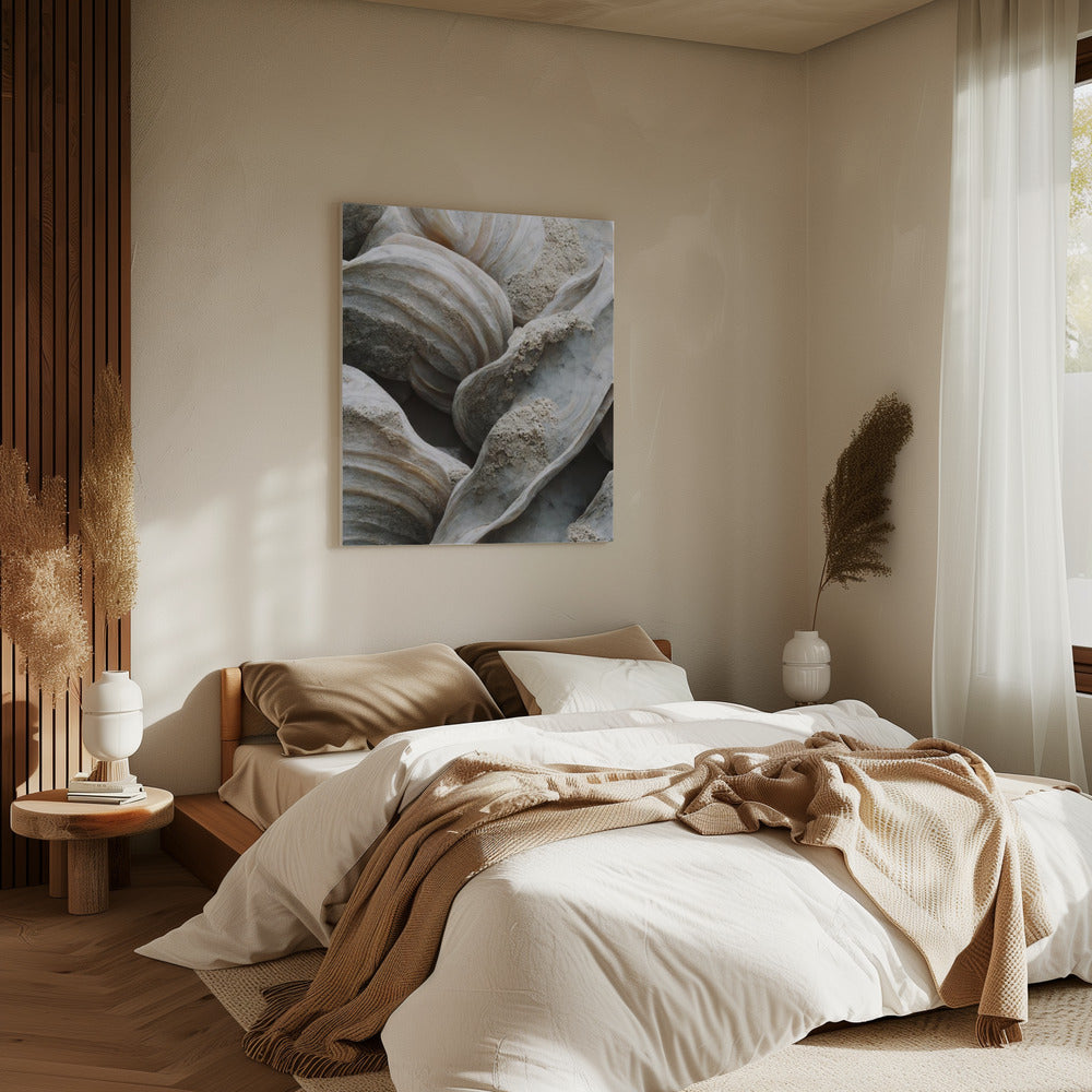 Muschelsymphonie | Leinwand