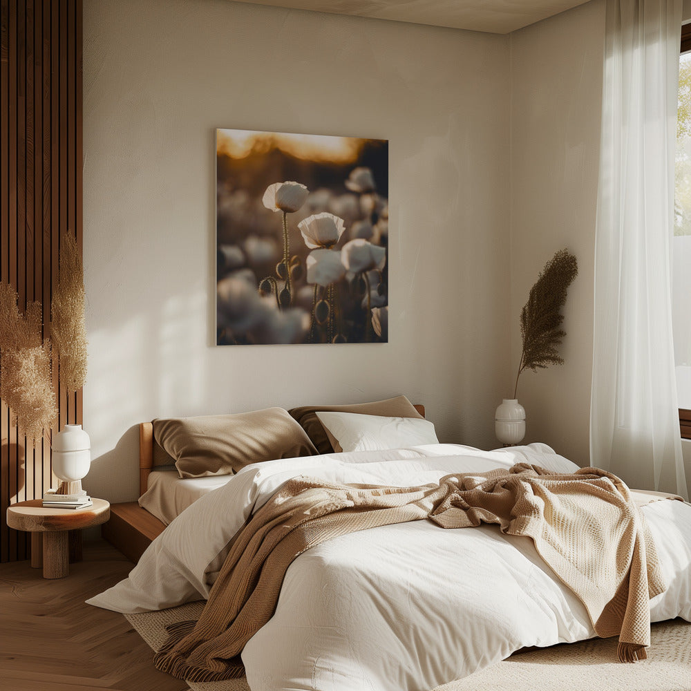Goldene blühende Morgendämmerung | Leinwand
