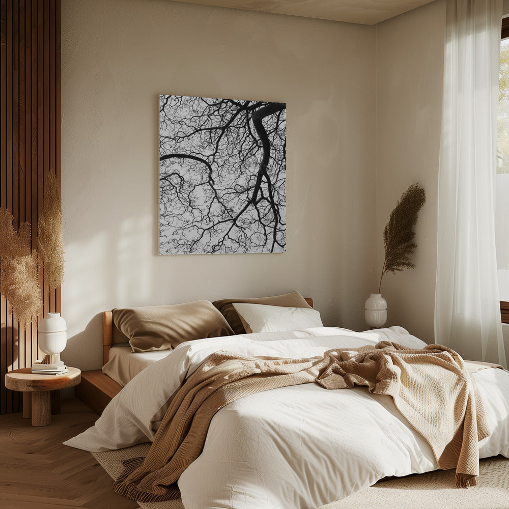 Branches&#039; Dance | Canvas